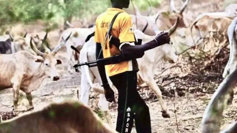 WhatsApp-Image-2026-01-19-at-09.04.42